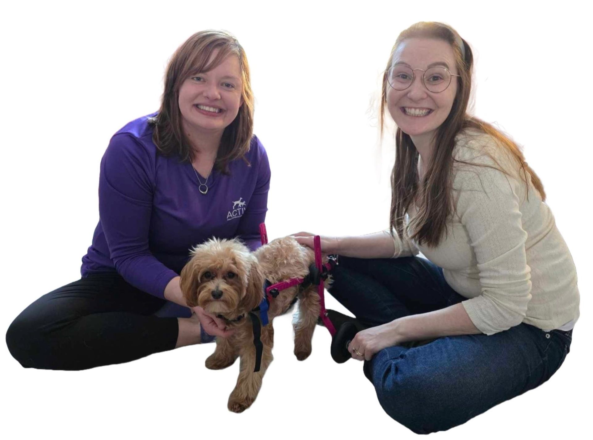 Two women kneeling with a small dog in a wheelchair on a white background