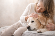 Woman gently petting a relaxed golden retriever on a couch.