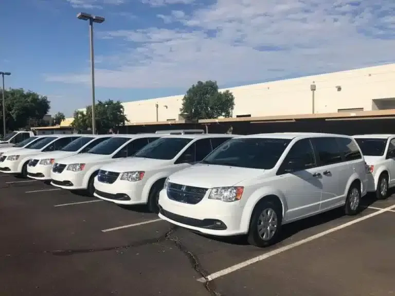 Fleet of mini vans washed by South Mountain Auto Detail in Phoenix, Arizona