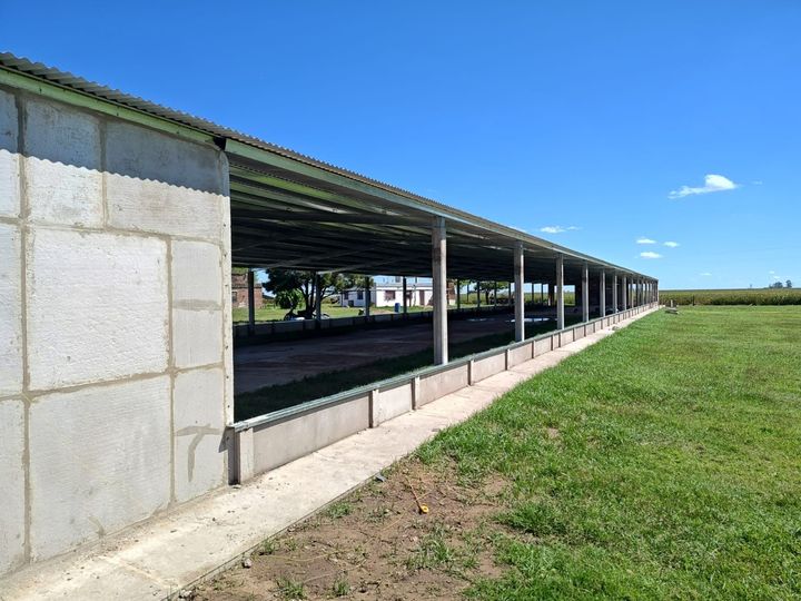 Un cobertizo agrícola alargado y abierto por los lados, con techo metálico, junto a un campo de hierba bajo un cielo azul