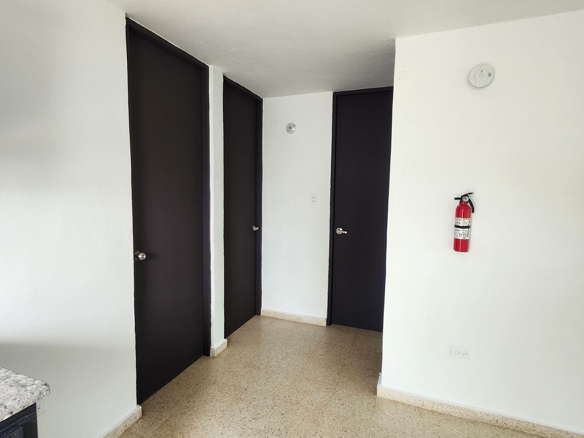 White hallway with three dark doors, beige carpet, and a fire extinguisher on the wall.