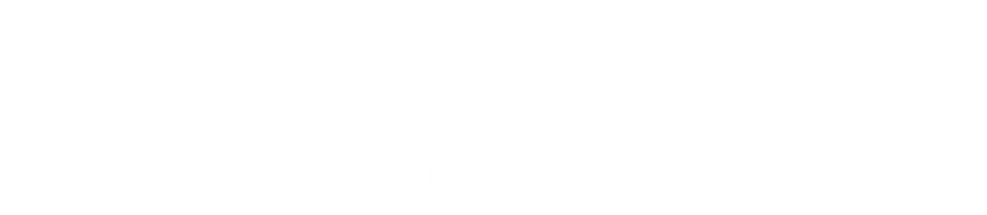 The Brunswick logo (white).