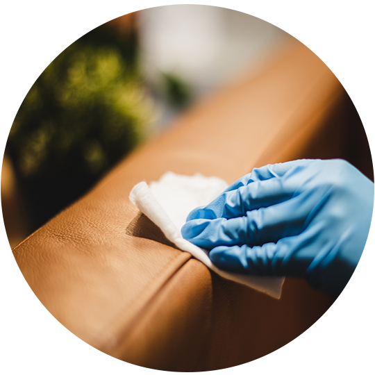 Cleaning Leather Sofa — Brisbane, QLD — Black & White Home Services Cleaning Leather Sofa — Brisbane, QLD — Black & White Home Services