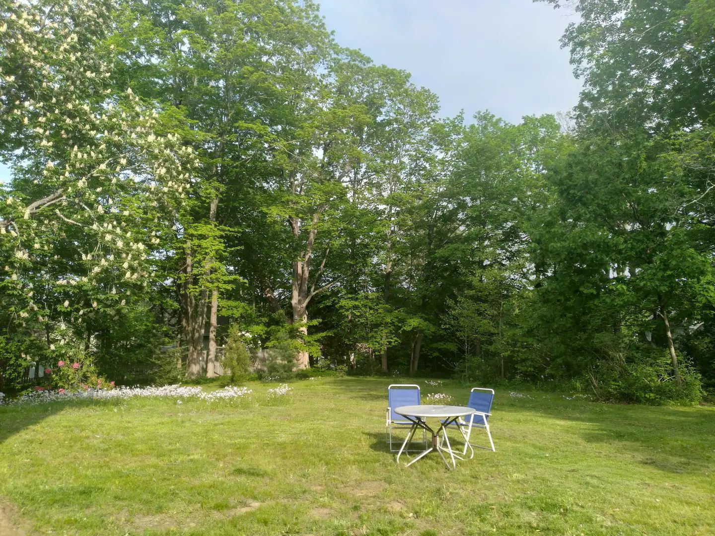 A table and chairs are in the middle of a grassy field surrounded by trees.