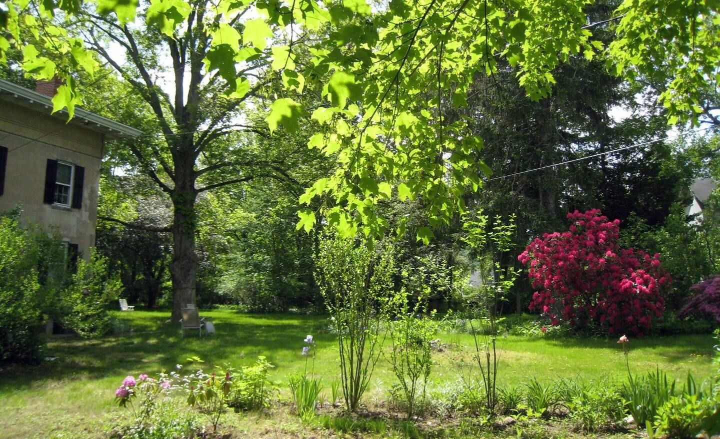 A garden with trees and flowers in front of a house