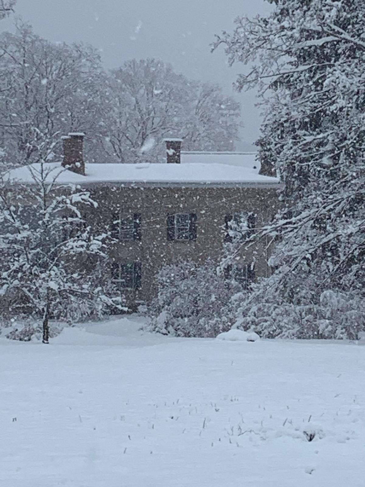A large house is surrounded by snow covered trees.