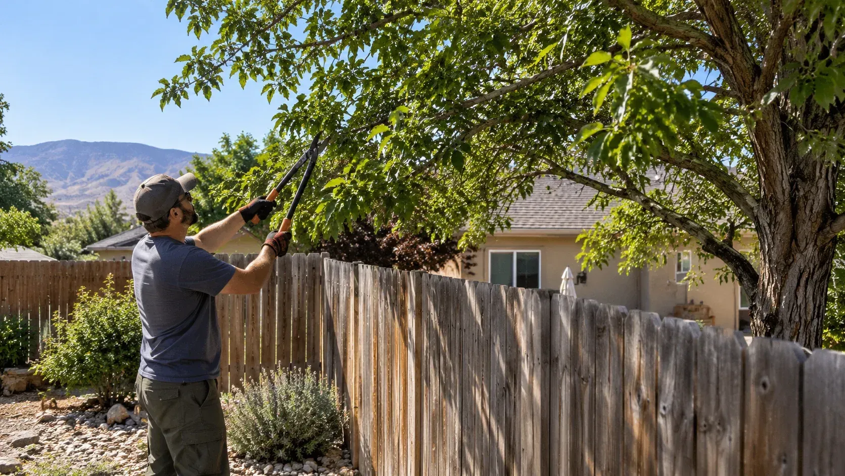 Man trimming overhanging tree branches along a wooden fence, illustrating whether it is legal to trim a neighbor's tree branches that hang over your fence in Colorado.