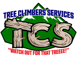 Tree Climbers Services