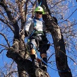 A man is standing on top of a tree wearing a helmet.