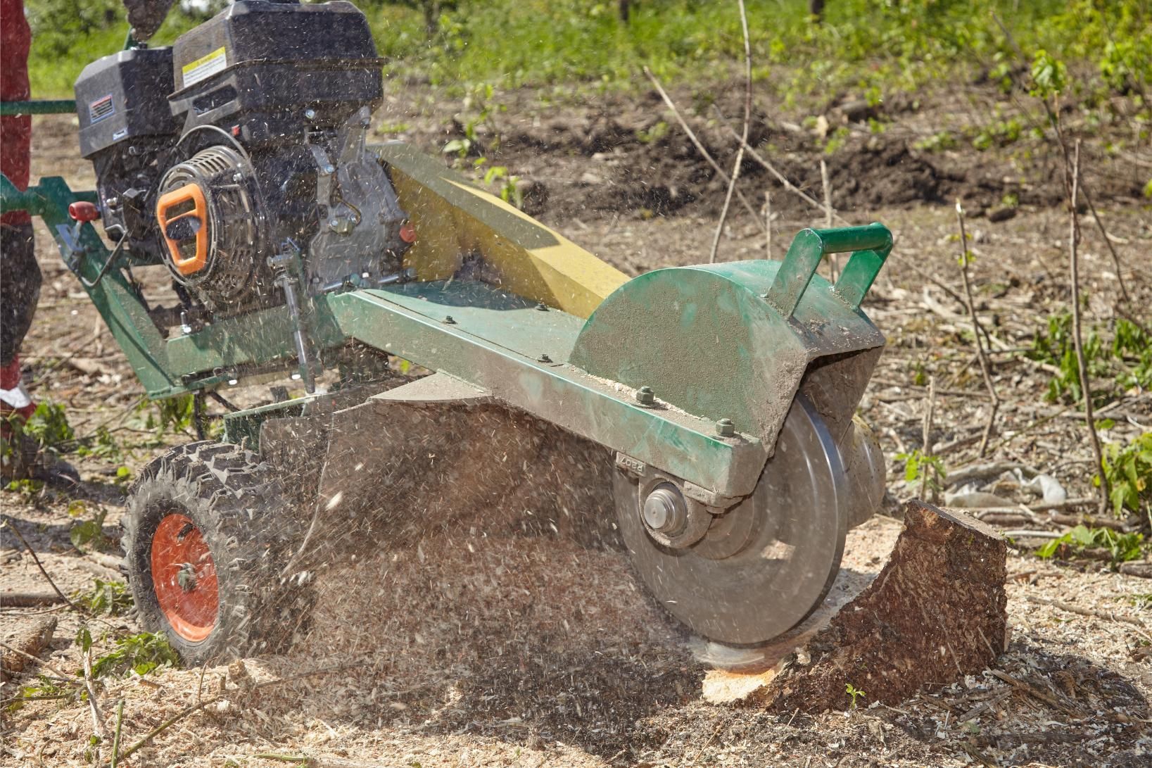 A stump grinder in use, removing a tree stump. Green and orange machinery. Dust and wood chips fly.