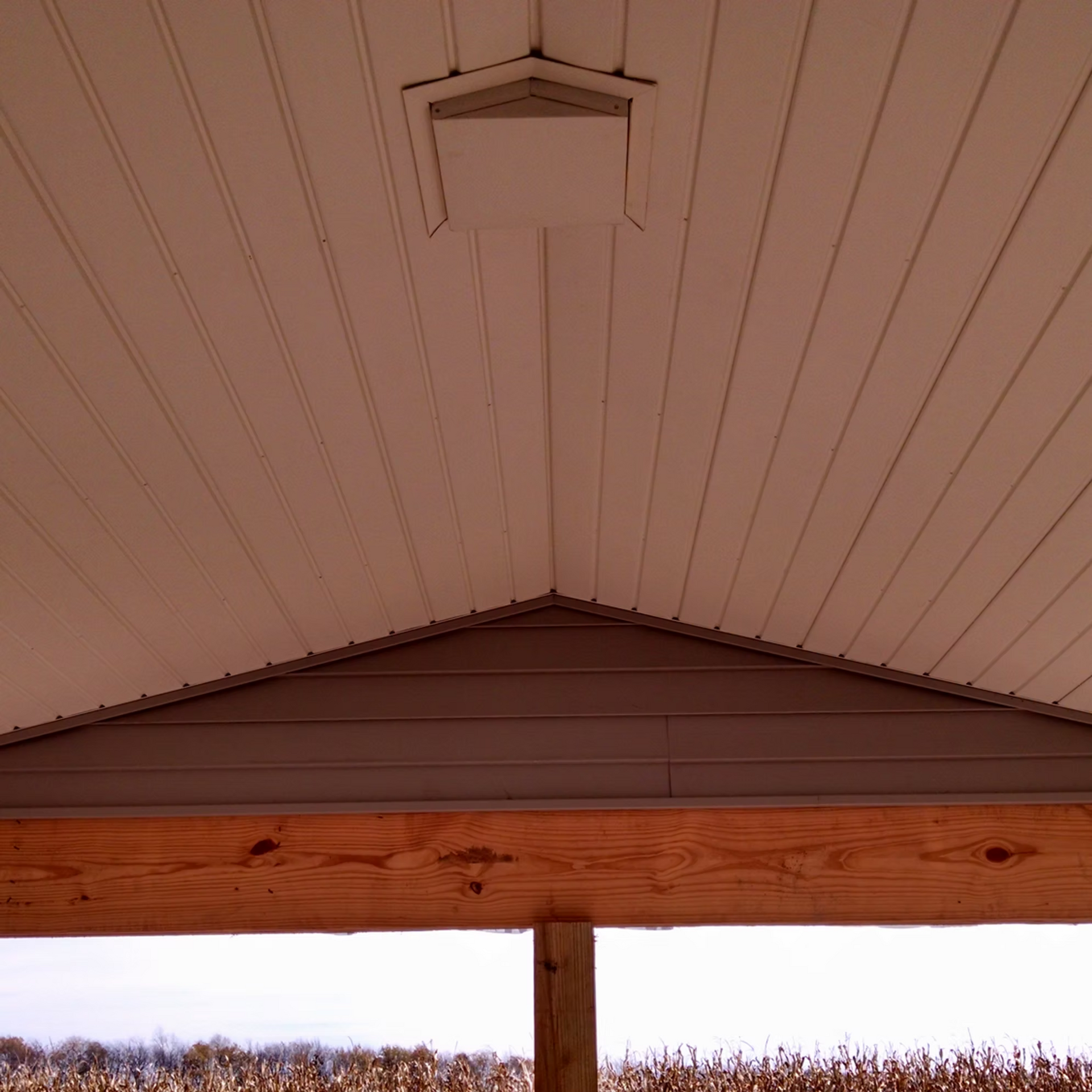 Wood-paneled porch ceiling with a central light fixture and snowy landscape beyond the roofline