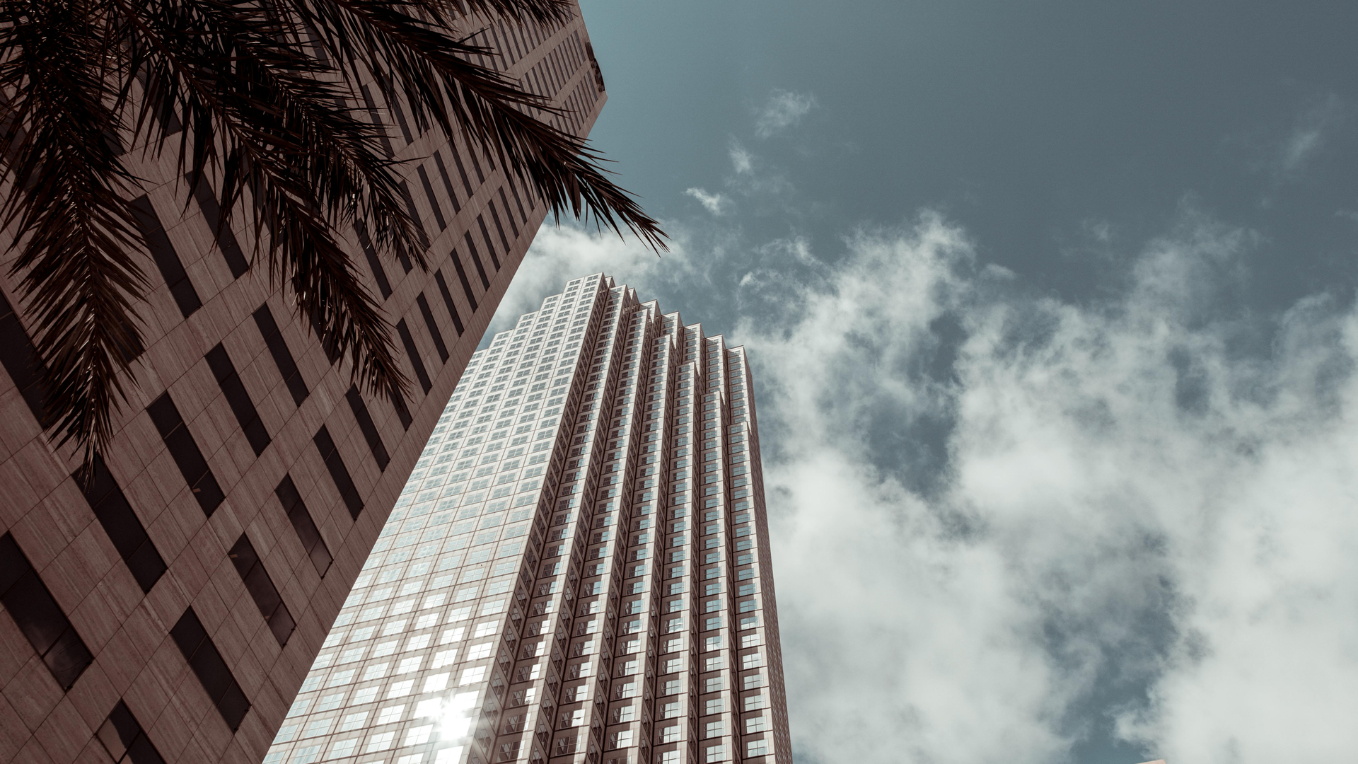 Business Insurance