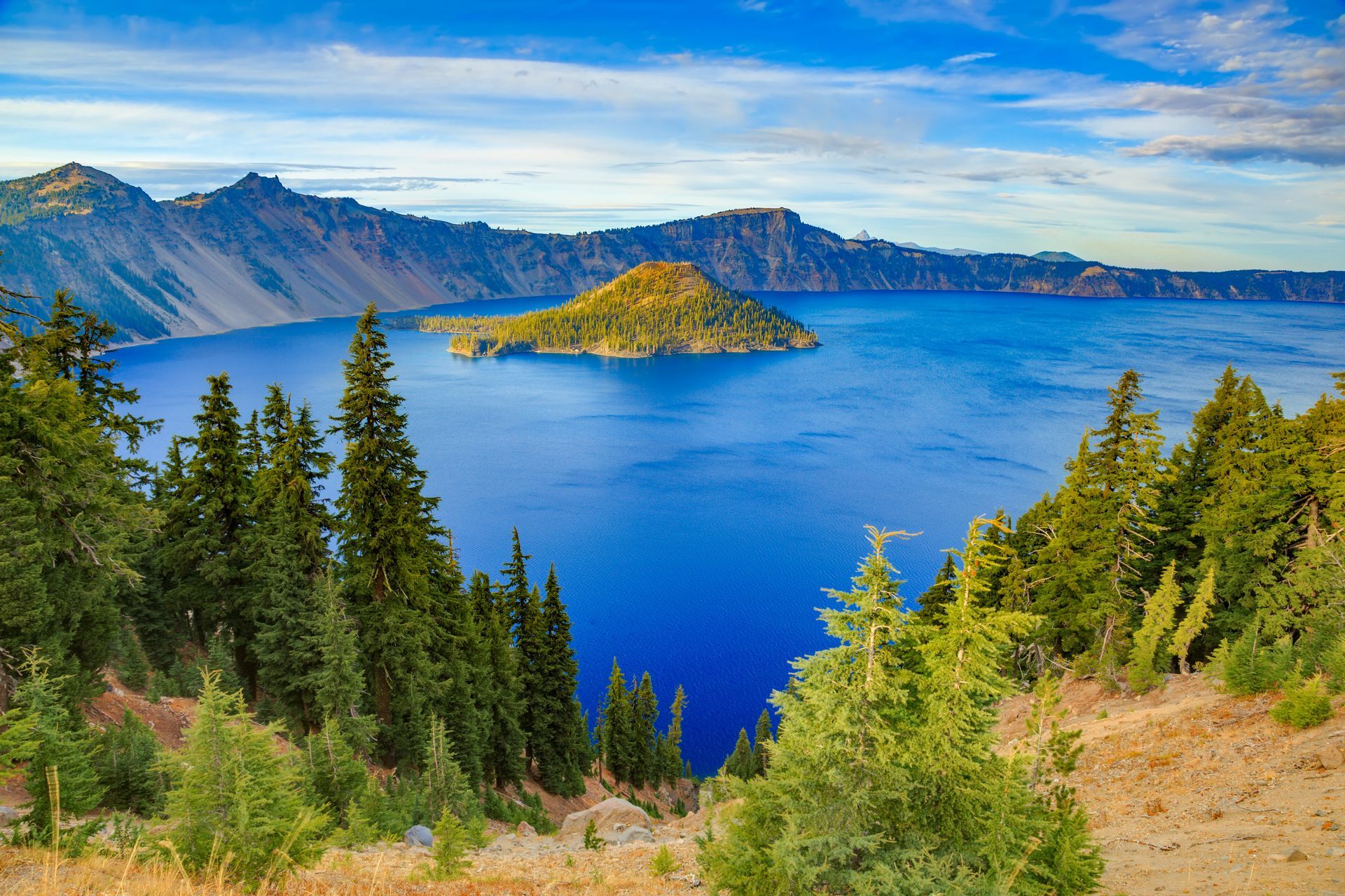 Sunlit lake with green trees and shrubs along the shore under a clear sky