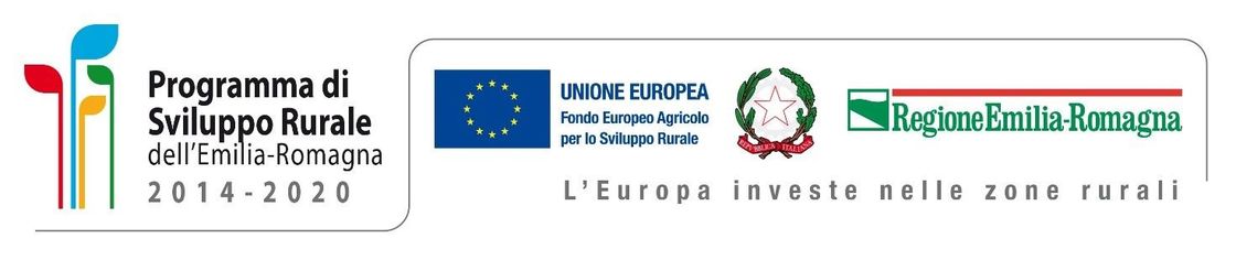 Programma di sviluppo rurale FEASR