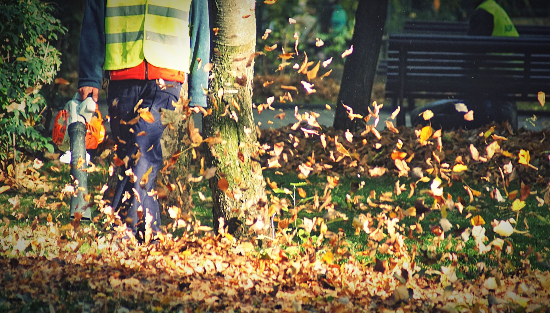 A worker in a high-visibility vest uses a leaf blower to clear autumn leaves in a park.