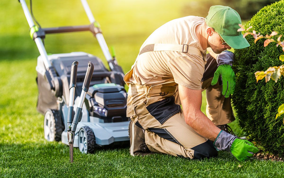 A professional gardener in beige workwear and a green cap kneels in a yard, trimming a hedge near a lawn mower.