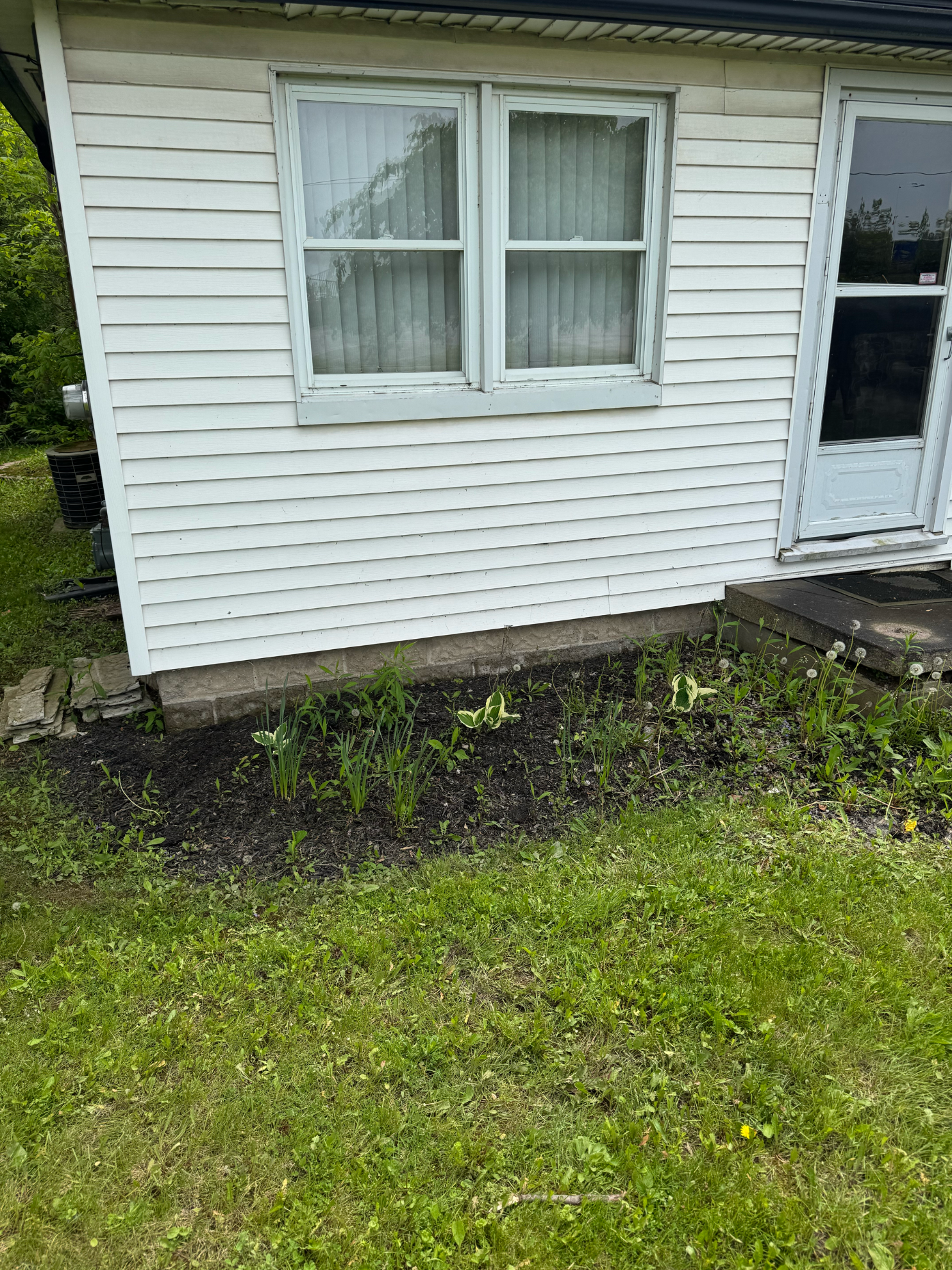 A white-sided house exterior with two windows and a door, featuring a small garden bed in front.