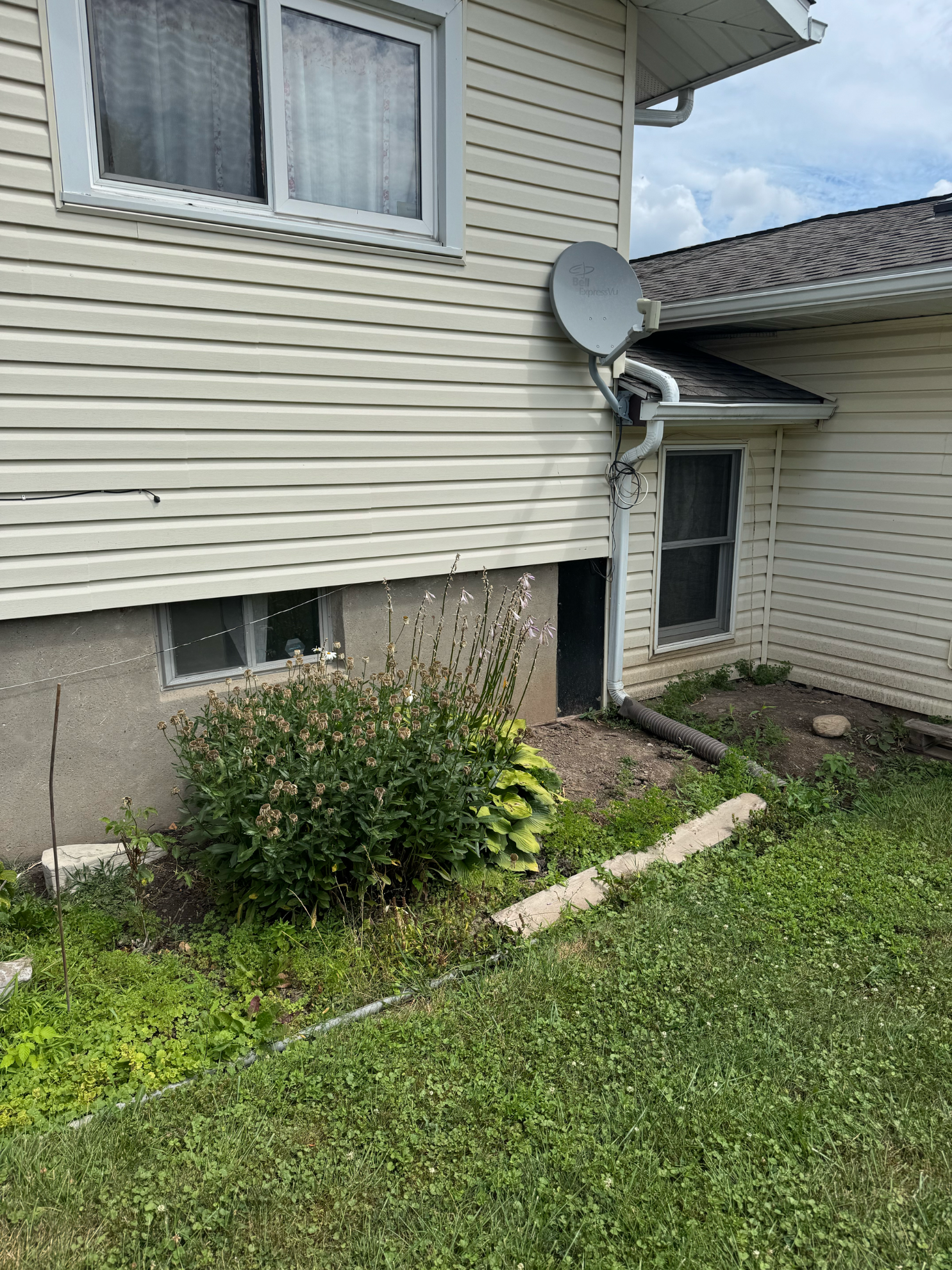 Exterior corner of a cream-sided house with a satellite dish, two ground-level windows, and a small flower bed.