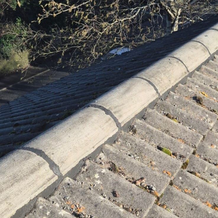A close up of a roof with a tree in the background.