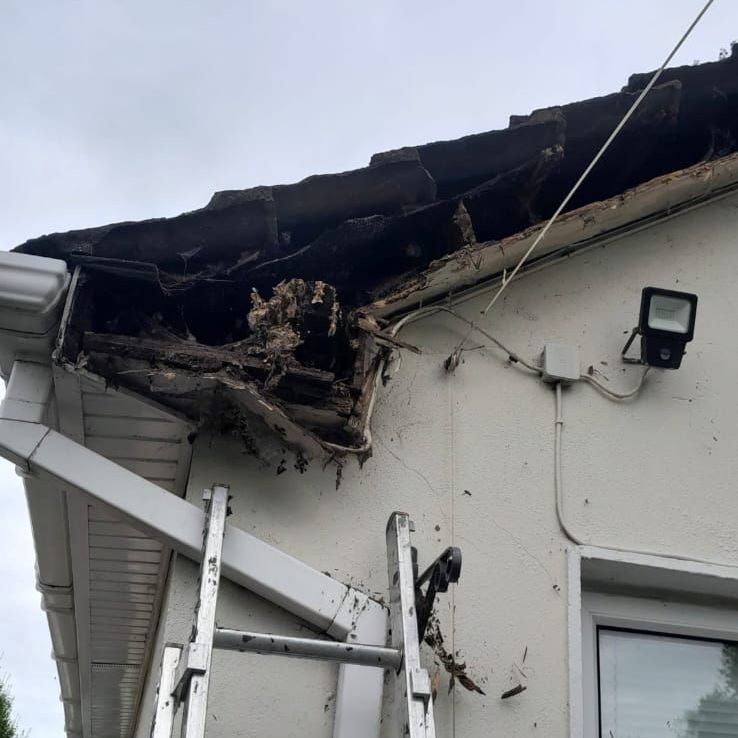 A ladder is attached to the side of a house