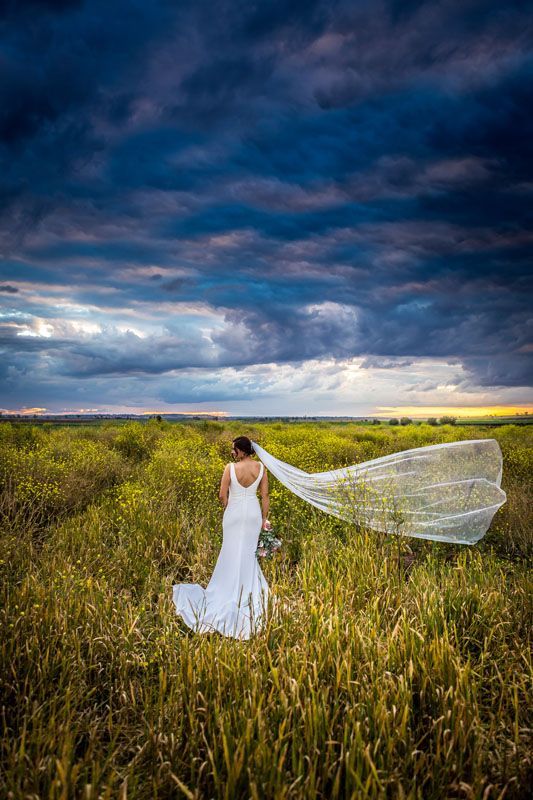 A bride in a wedding dress is standing in a field with her veil blowing in the wind.