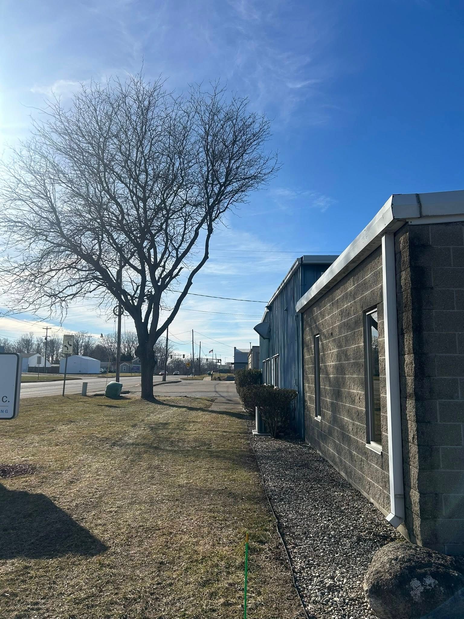 A bare tree stands near a grey brick building beside a gravel patch and a parking lot under a blue sky.