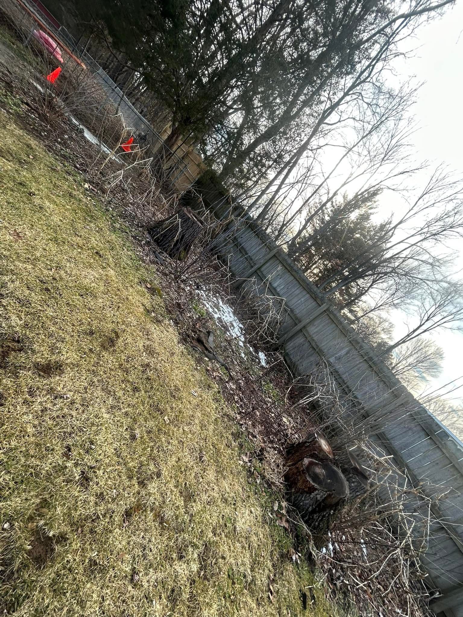 A grassy yard partially covered in snow, bordered by a wooden fence and bare trees under an overcast sky.