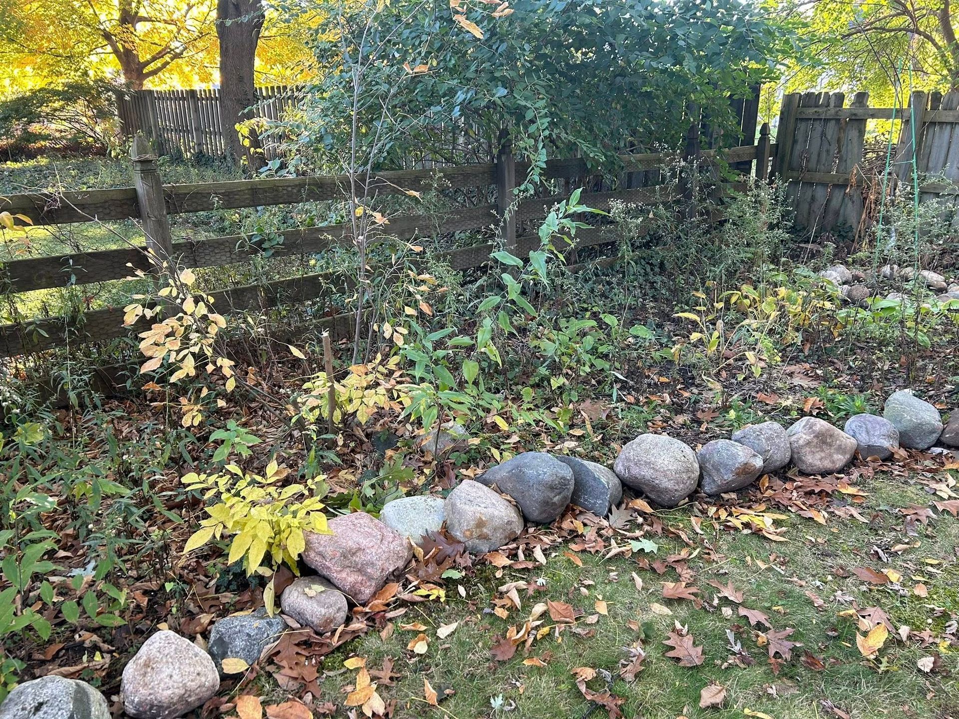 A garden bed edged with smooth stones, featuring mixed shrubs and fallen autumn leaves in front of a rustic wood fence.