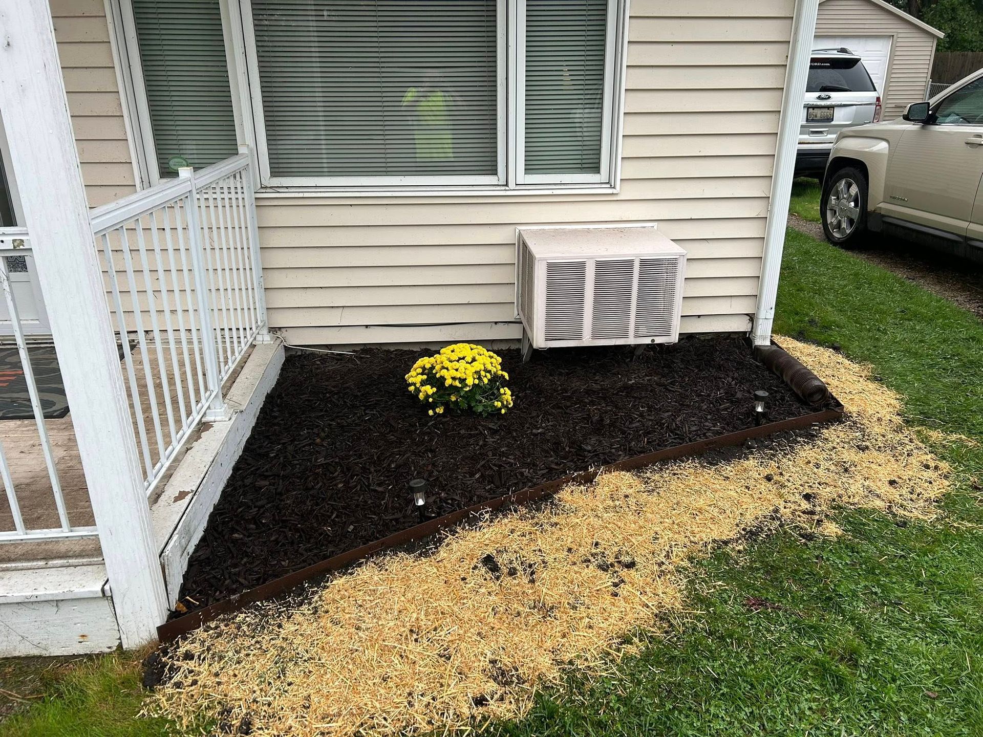 A yellow mum plant sits in a dark mulched flowerbed next to a white house with a window air conditioning unit.