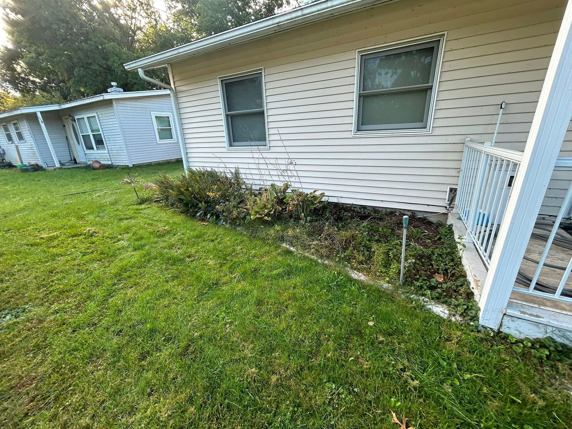 Side view of a beige, vinyl-sided house with a grassy lawn, a front porch, and overgrown shrubbery along the foundation.