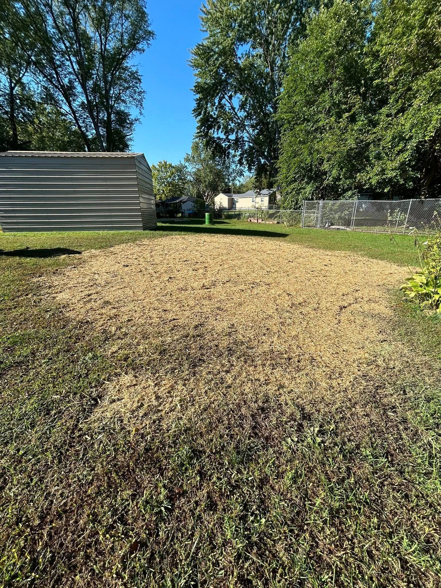 A grassy yard with a large patch of fallen brown leaves, a metal shed to the left, and trees under a clear blue sky.