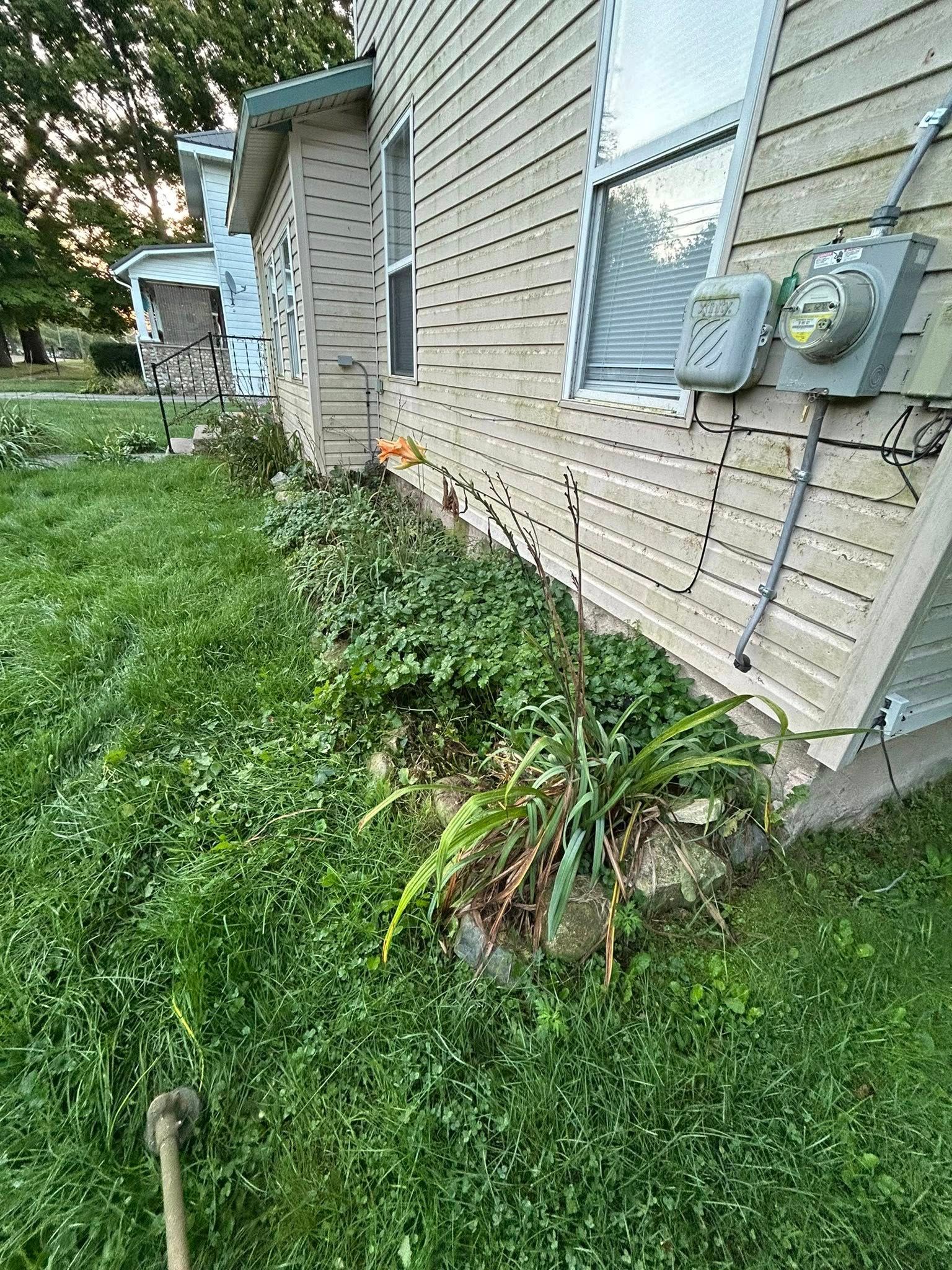 Tan siding on a house exterior with an electric meter and a grassy yard with a flower patch in the foreground.