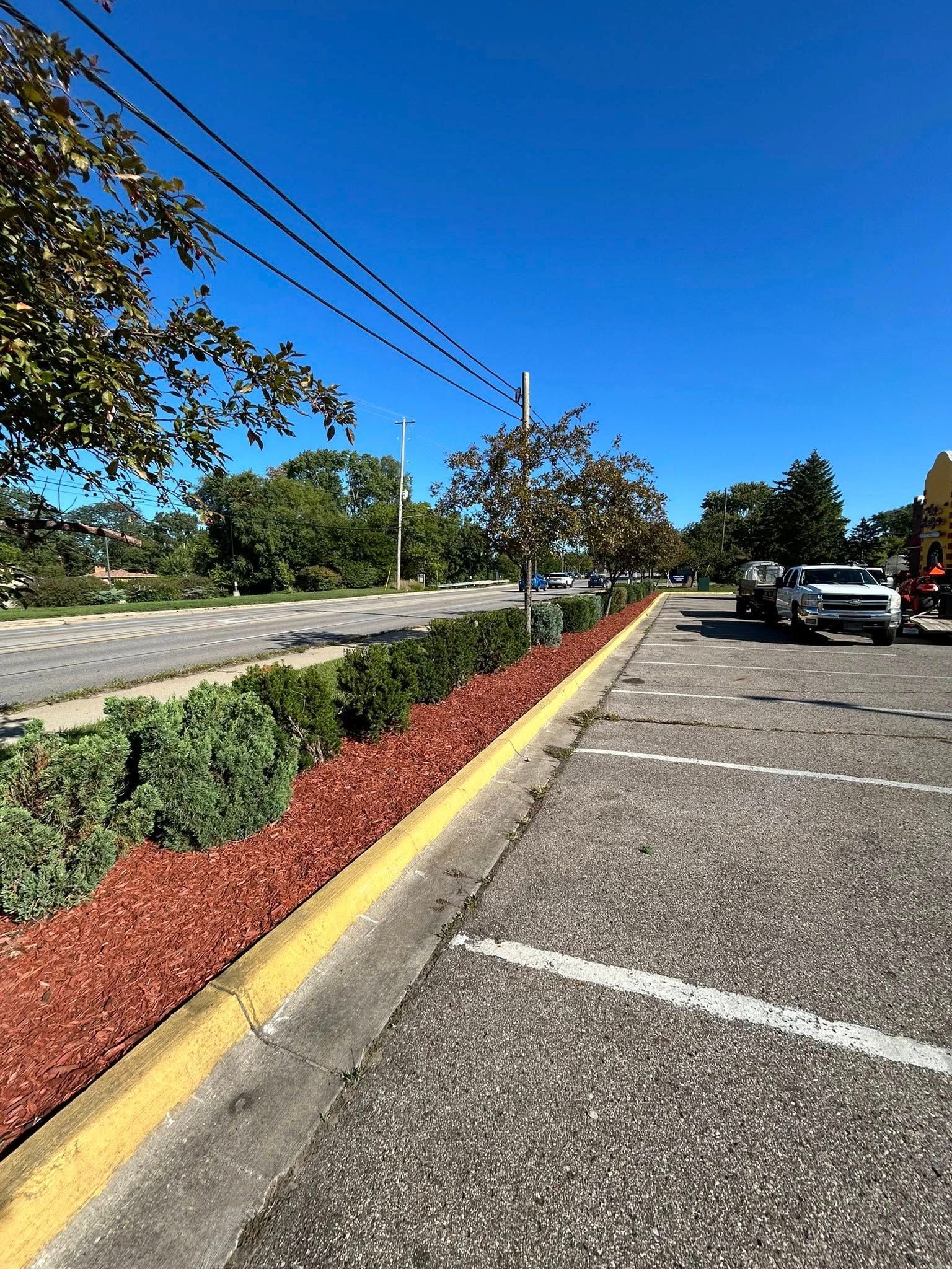 A parking lot with a paved surface and white painted lines, bordered by a landscaping strip of red mulch and green shrubs.