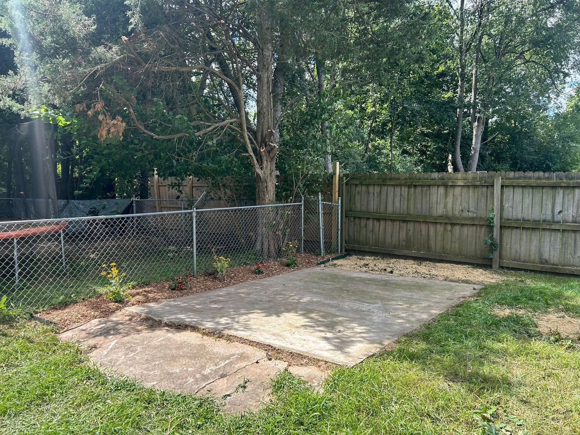 A concrete slab in a grassy backyard, bordered by a chain-link fence on the left and a wooden fence on the right.