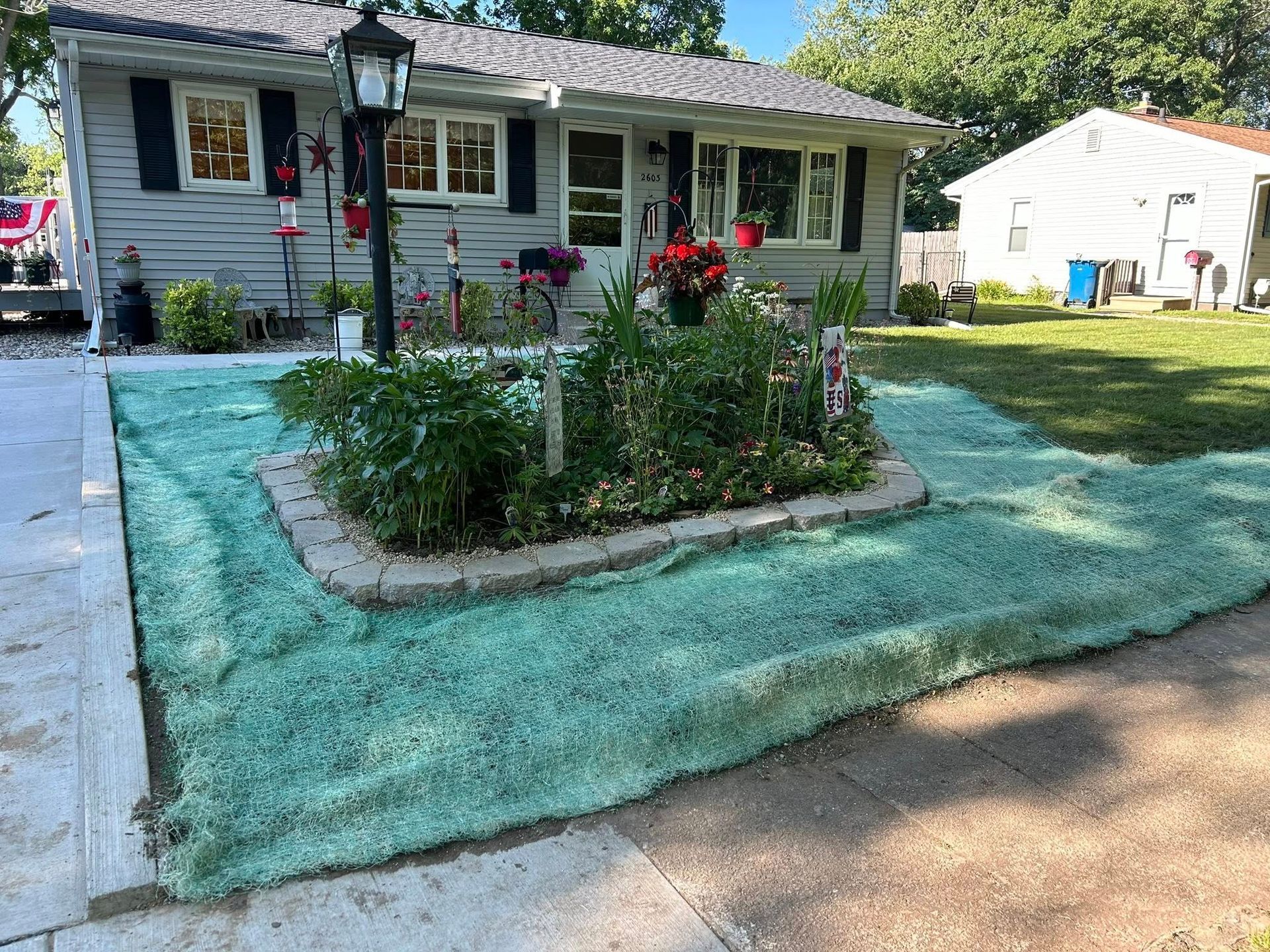 A front yard with a rectangular planter bed surrounded by fresh, bright green hydroseeded grass in front of a gray house.