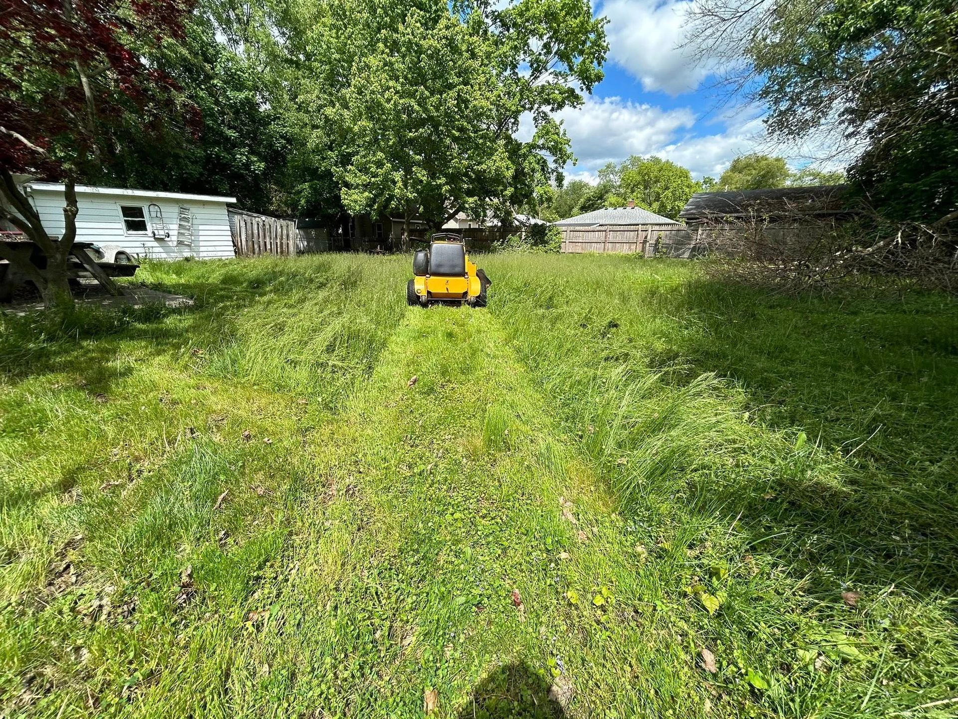 A yellow lawn mower cuts a path through tall grass in a sunny, tree-lined yard with houses in the background.
