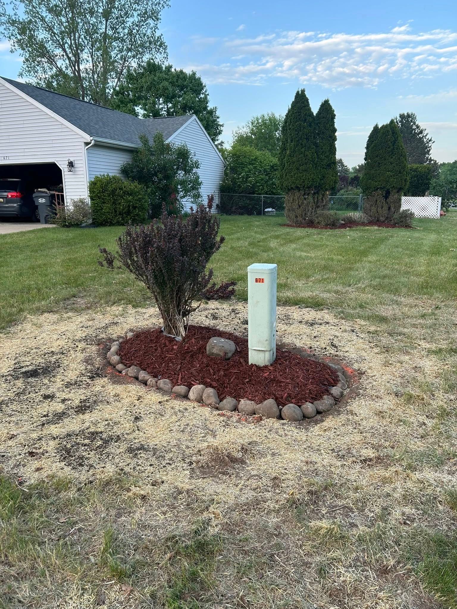 A small garden bed with dark mulch, a shrub, and a utility box surrounded by wood chips in a residential front yard.