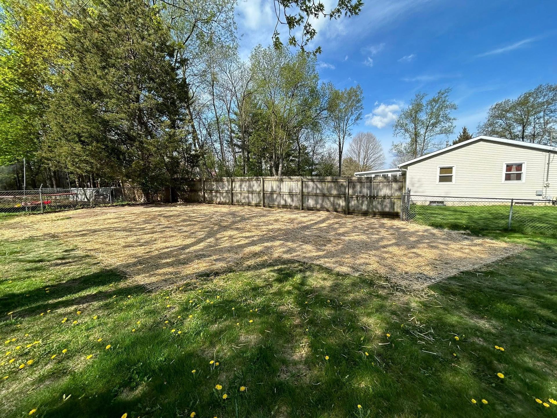 A wide, sunny backyard featuring a large, rectangular patch of mulch surrounded by green grass and trees.