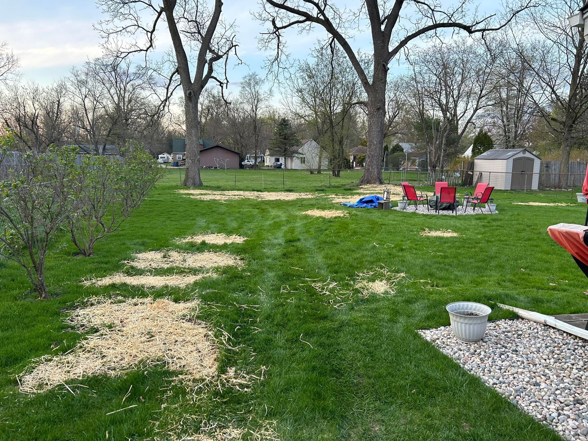 A residential backyard with wood chip patches on the grass, a small fire pit area with chairs, and a shed in the distance.