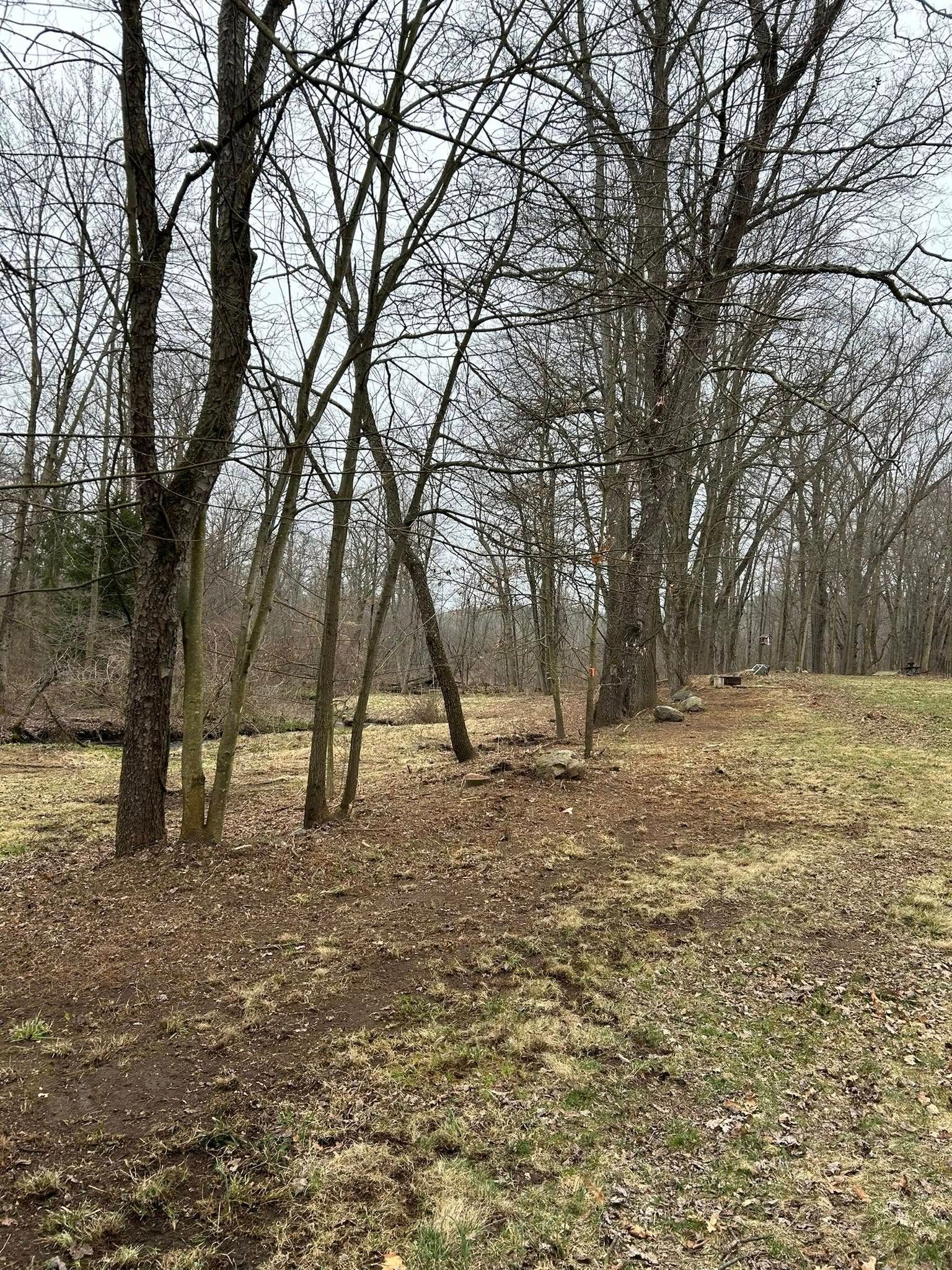 Bare trees line the edge of a field covered in dry, brown leaves under an overcast sky.