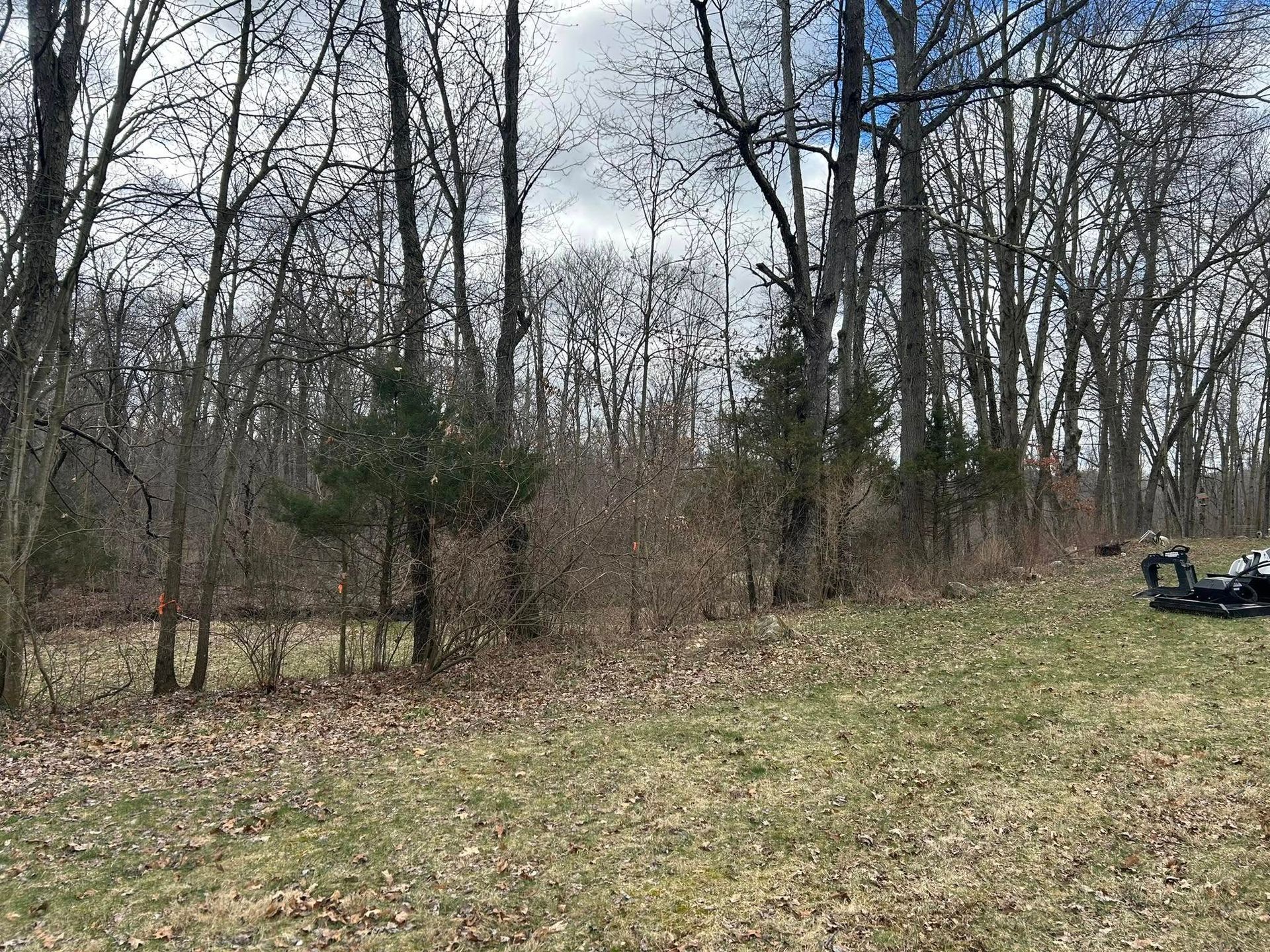 A grassy field bordered by a dense, leafless forest under a cloudy sky, with a lawnmower visible on the right.