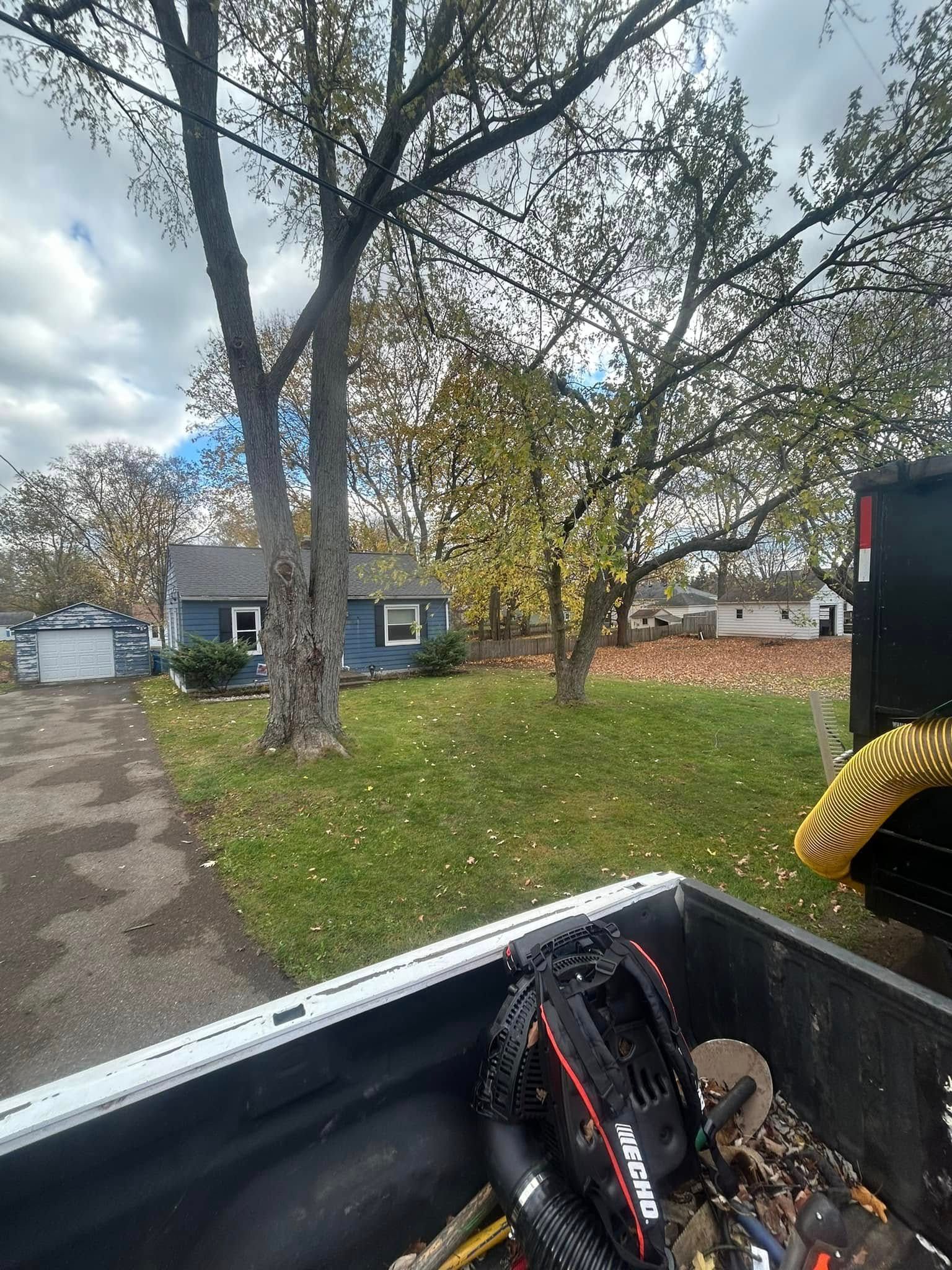 A view from a truck bed showing a yard with fallen leaves, two large trees, a blue house, and another home in the distance.