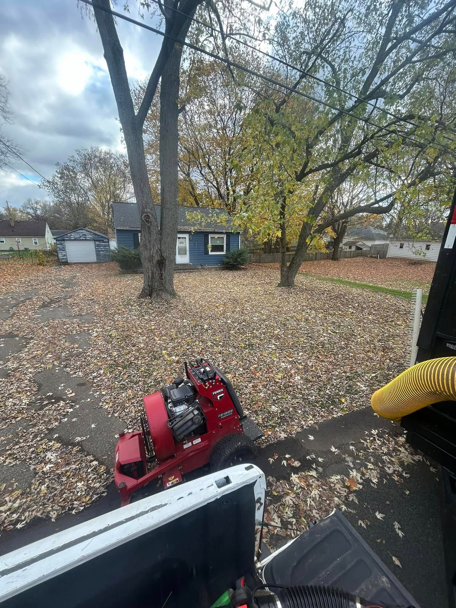 A red walk-behind leaf blower sits in a yard covered in fallen autumn leaves, viewed from the back of a truck bed.