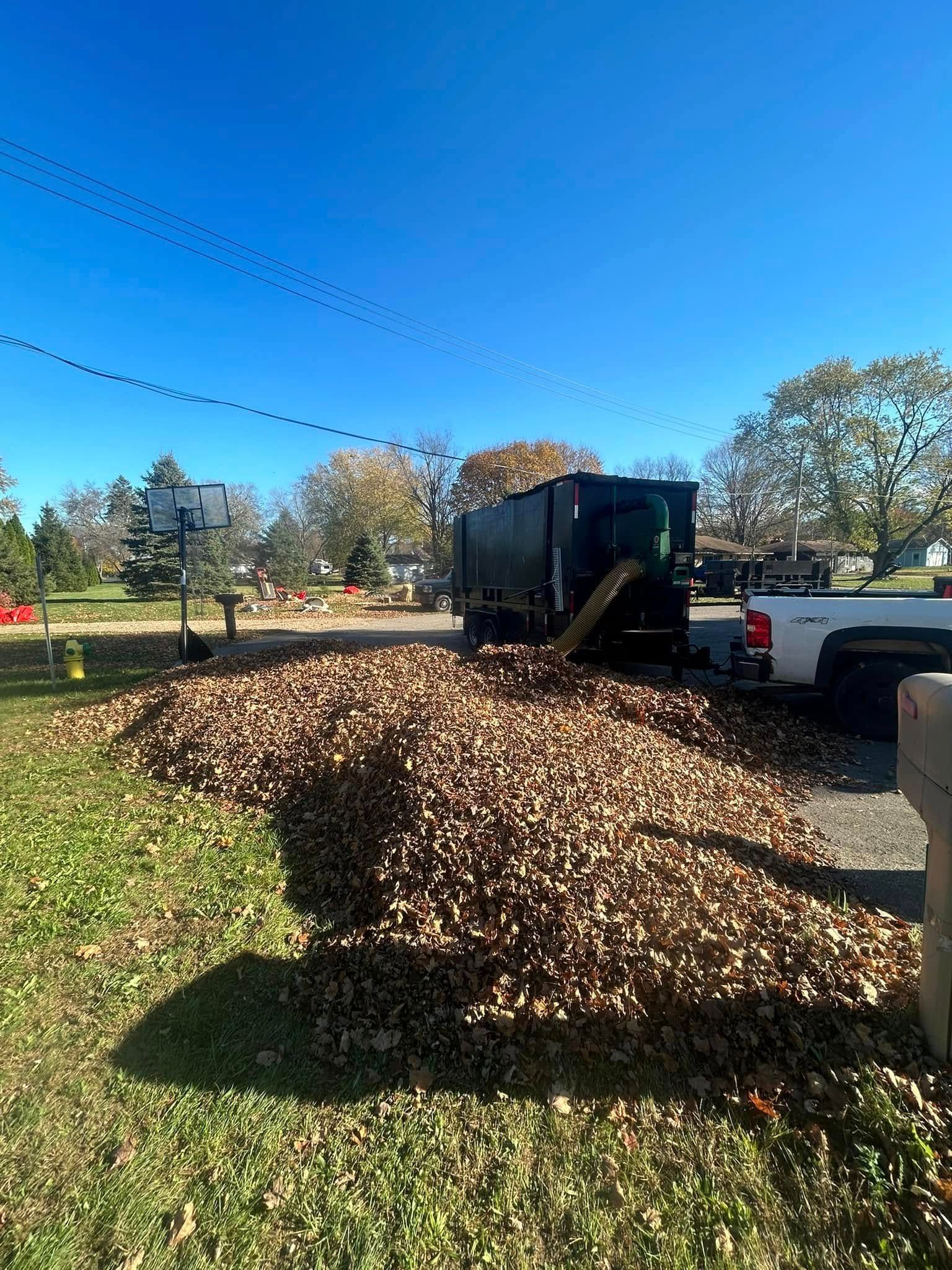 A large pile of dry brown autumn leaves sits on a residential lawn next to a pickup truck and a black trailer.
