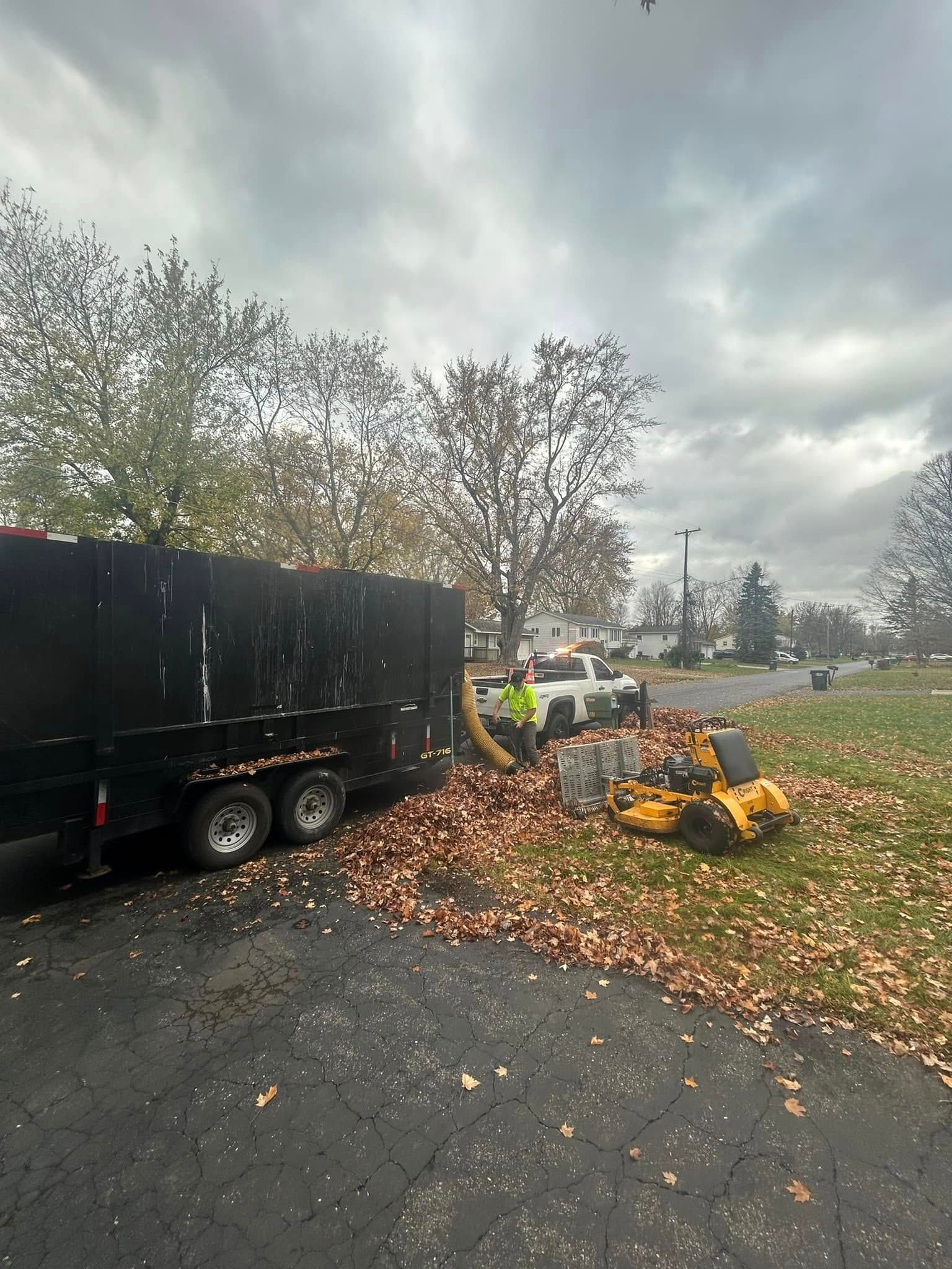 A worker uses a leaf vacuum machine to clear autumn leaves into a large black trailer parked on a lawn.