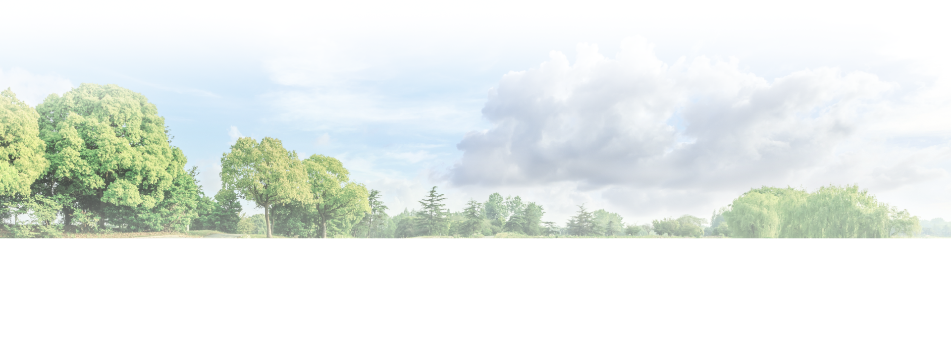 Trees under a cloudy sky. | Don's Performance Corner