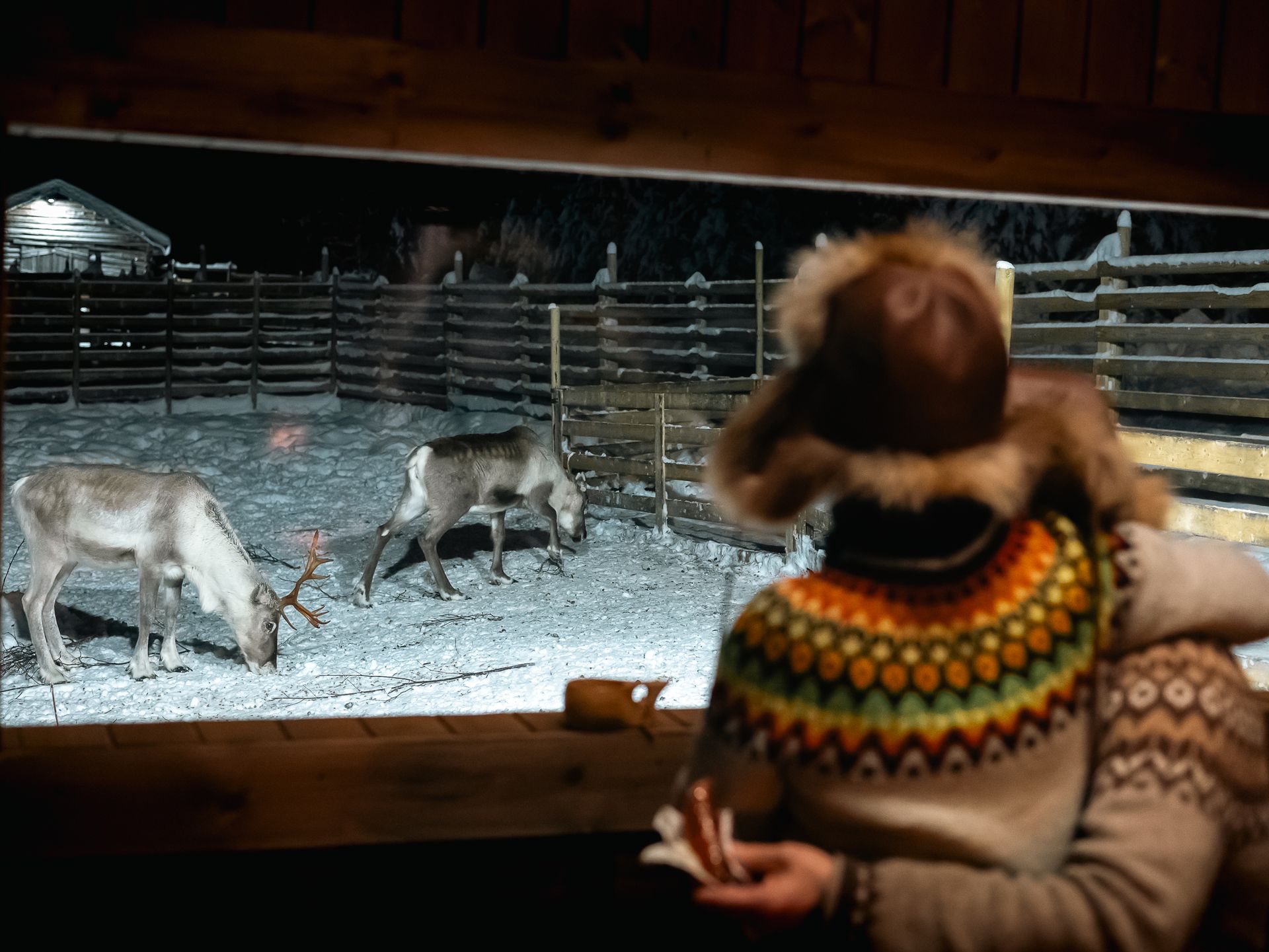 Couple sitting by a window looking at reindeer outside.