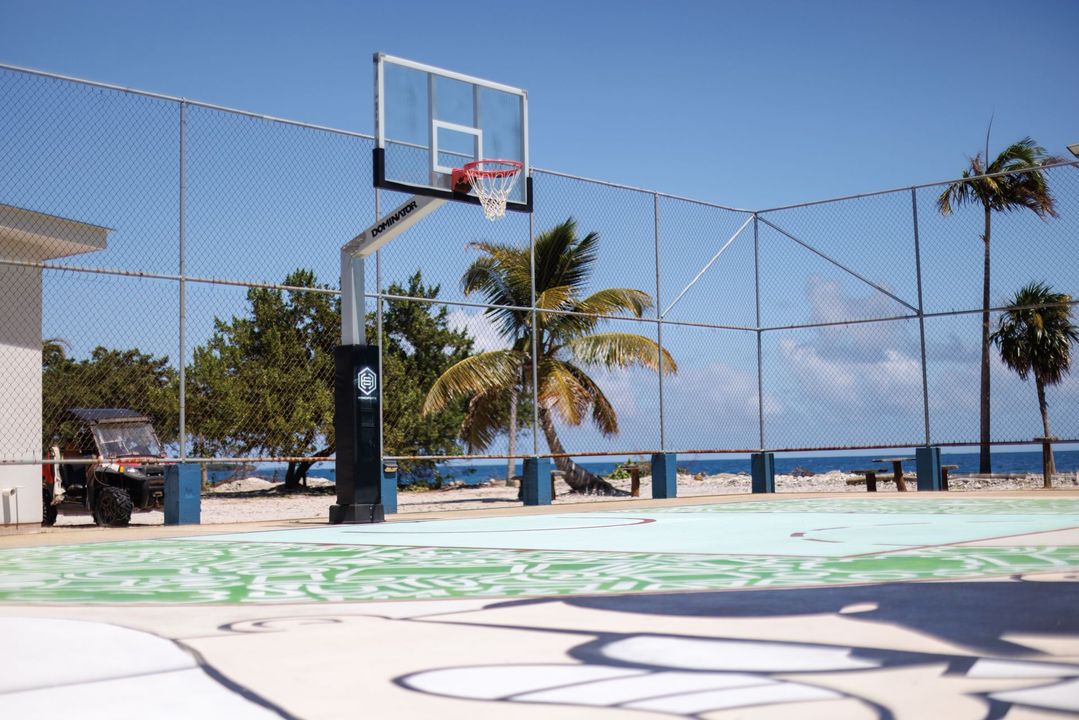 Outdoor basketball court by the ocean with a hoop, palm trees, and blue sky