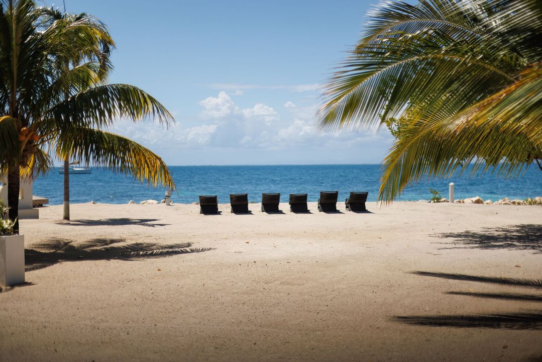 Beach chairs on a sunny sandy shore, framed by palm trees with the ocean and blue sky beyond.