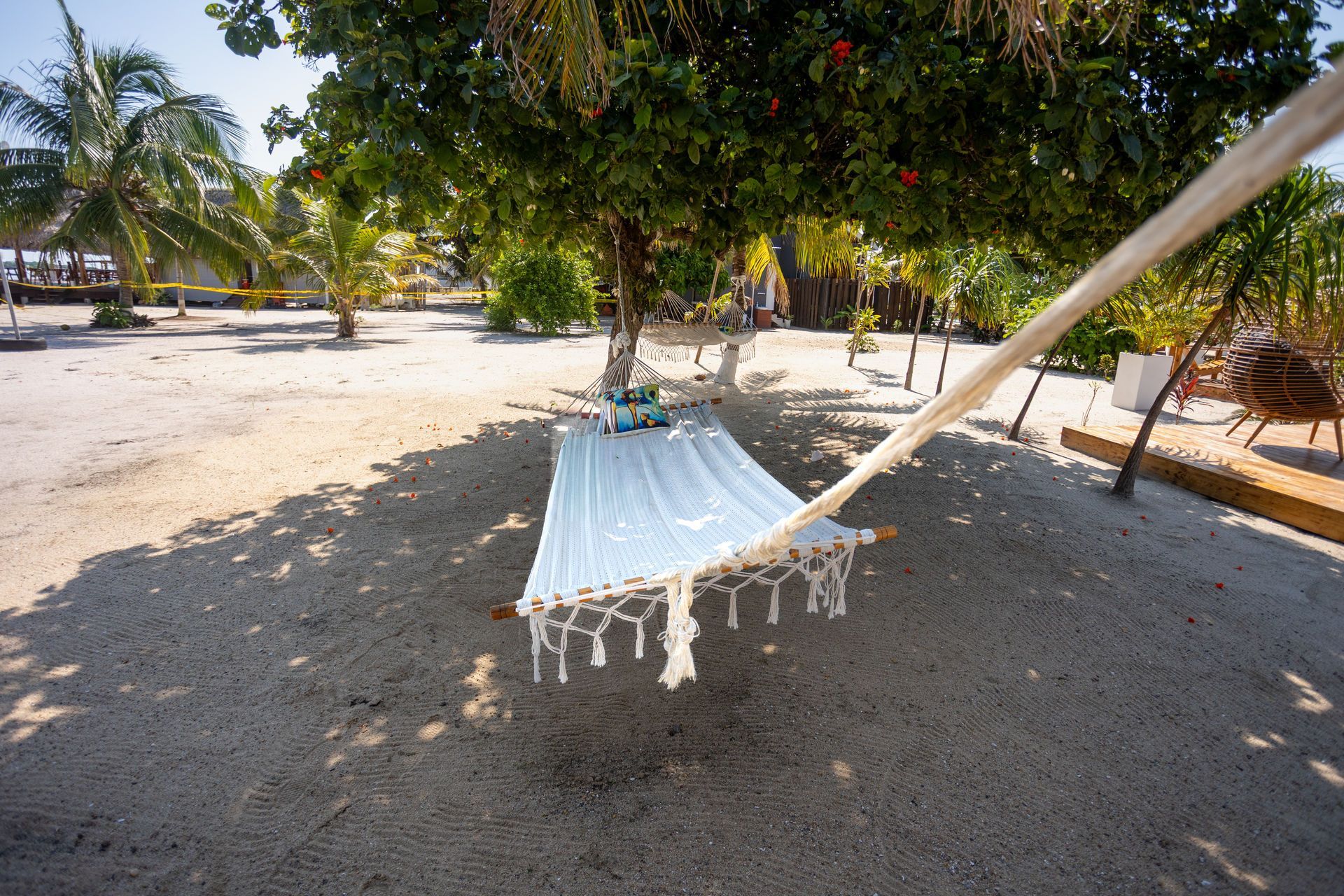 White hammock strung between trees on a sandy beach in the shade